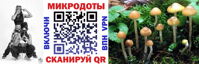Купить  Злынка  Галлюциногенные грибы мухоморы 